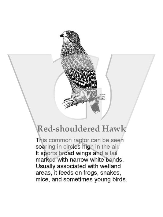 Red-shouldered Hawk Sign