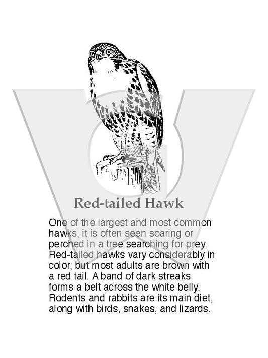Red-tailed Hawk Sign