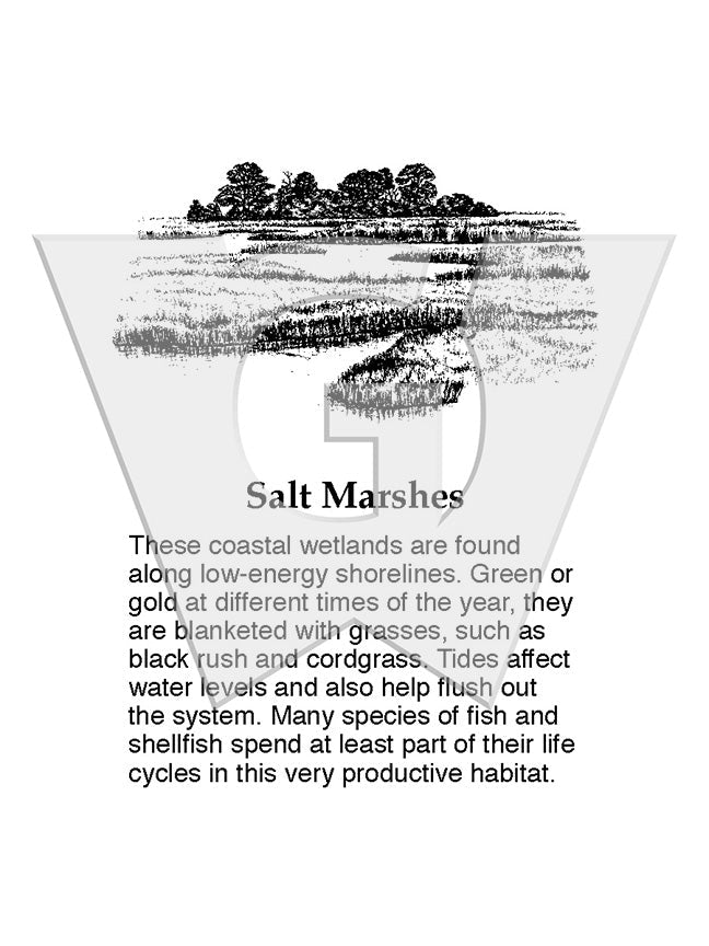 Salt Marshes Sign – Wilderness Graphics, Inc.