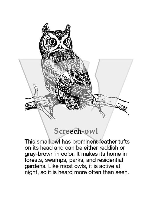 Screech-owl Sign