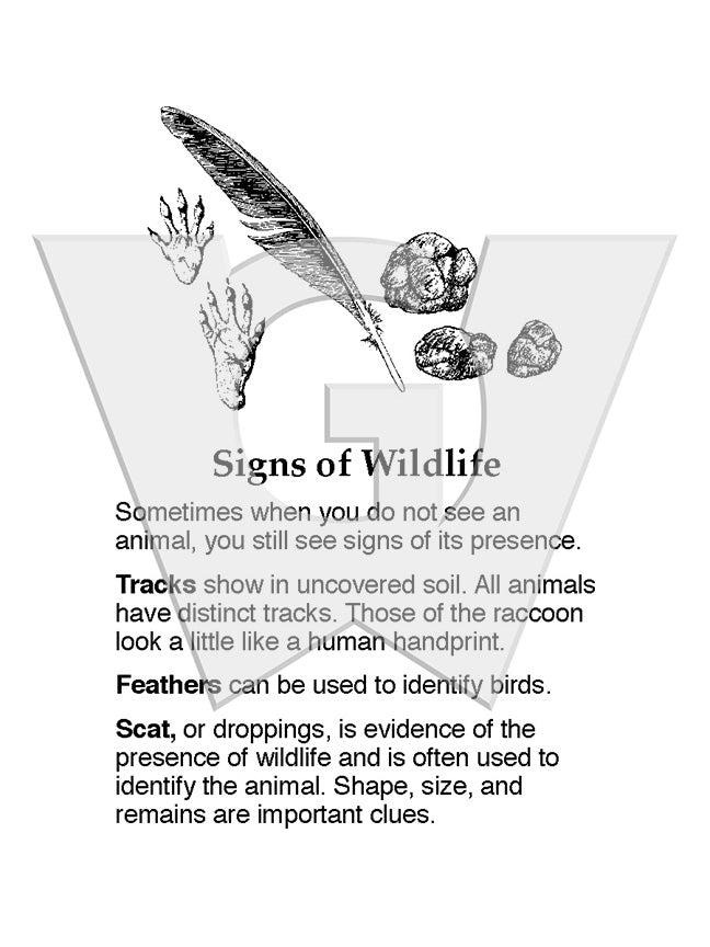 Wildebees Sign Signs of Wildlife Sign – Wilderness Graphics, Inc.