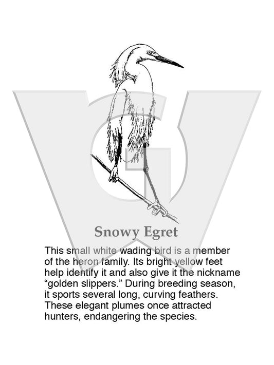 Snowy Egret Sign