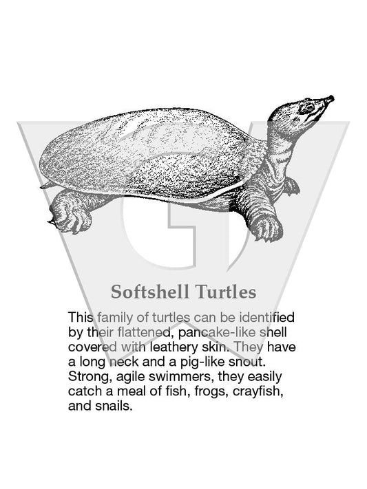 Softshell Turtles Sign