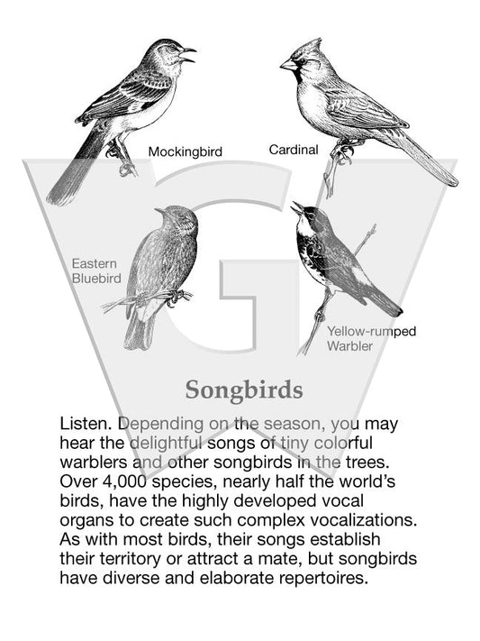 Songbirds Sign