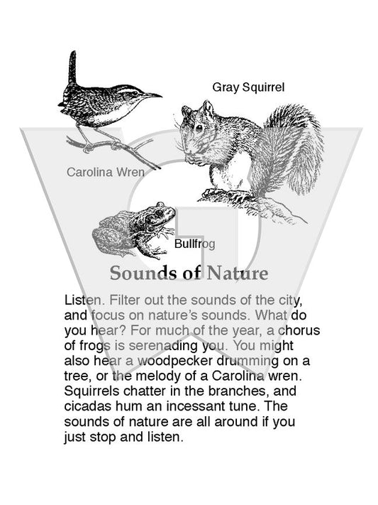 Sounds of Nature Sign