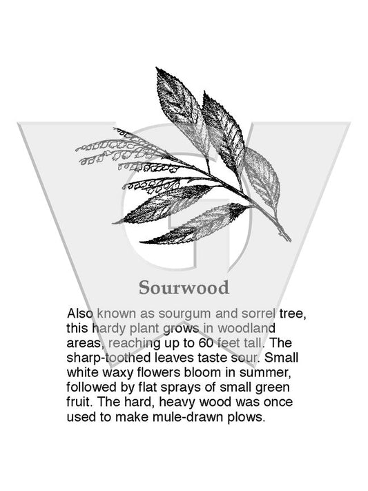 Sourwood