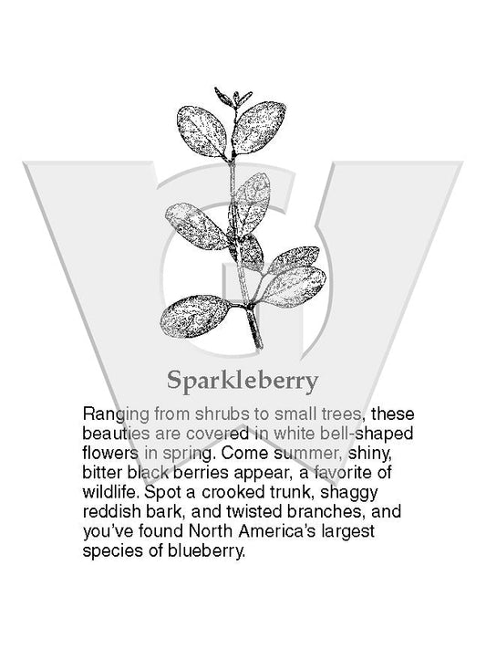 Sparkleberry Sign