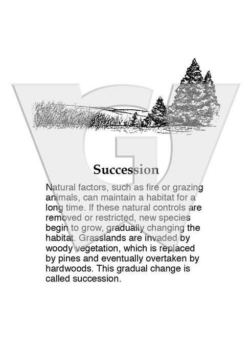 Succession Sign – Wilderness Graphics, Inc.
