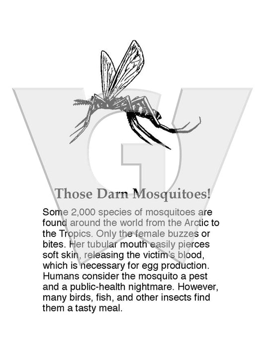 Those Darn Mosquitoes!