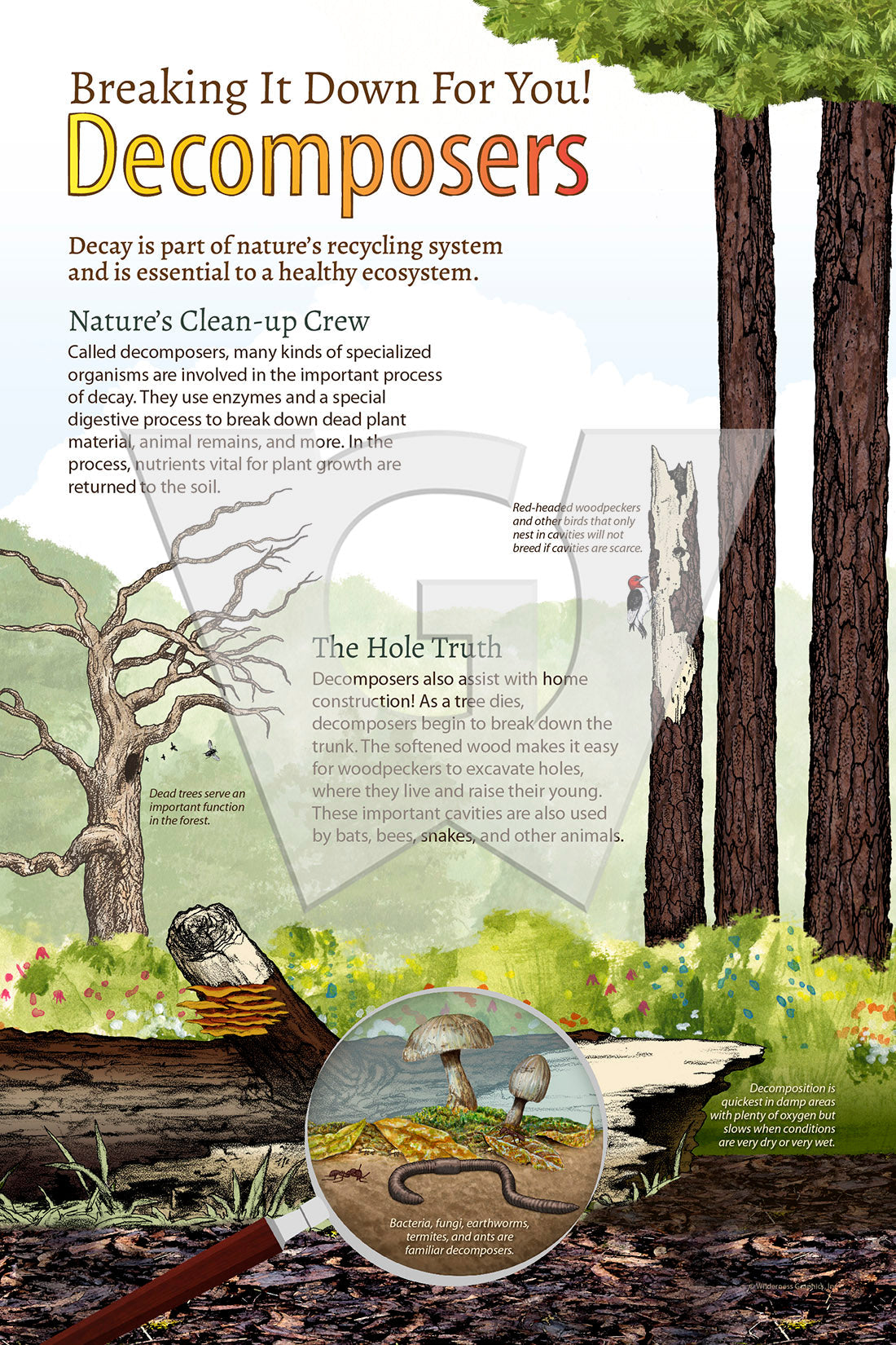 Decomposers Sign – Wilderness Graphics, Inc.