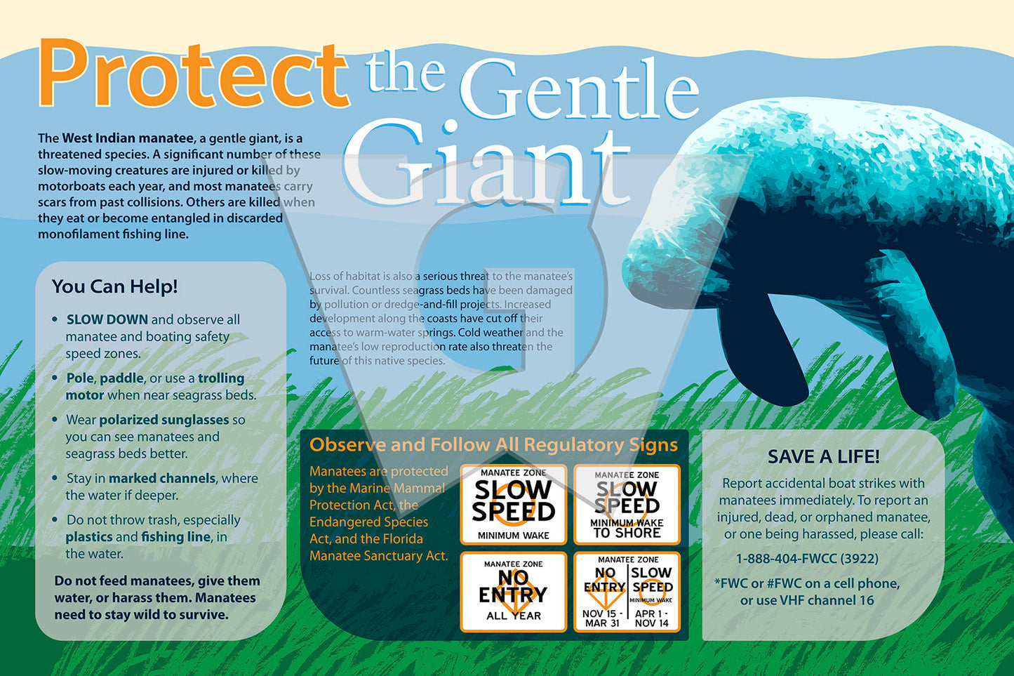 Protect the Gentle Giant