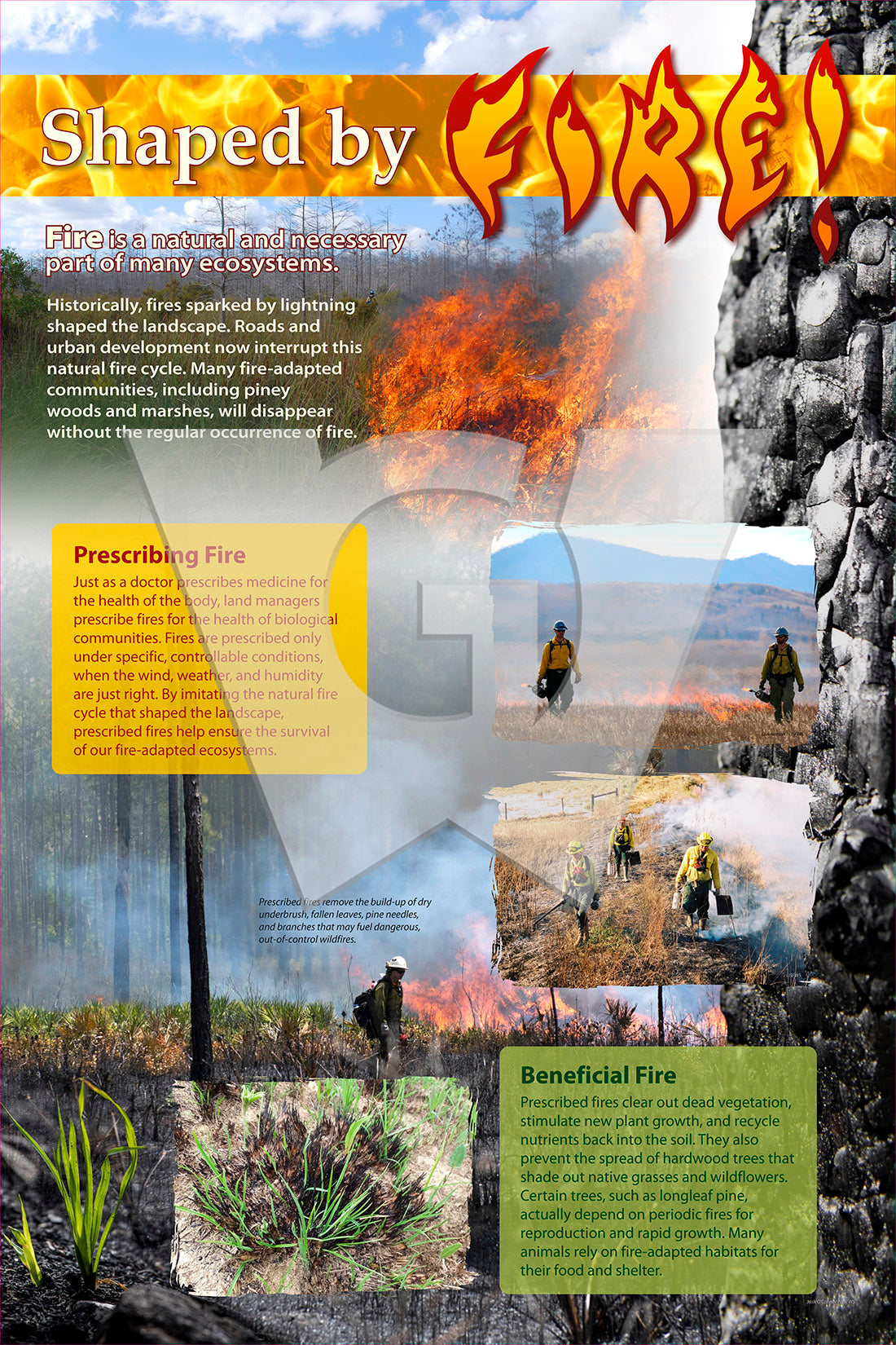 Fire Sign – Wilderness Graphics, Inc.