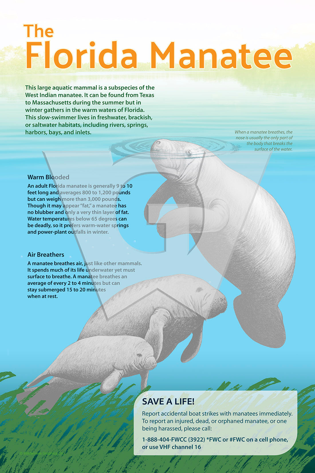 Florida Manatee Sign – Wilderness Graphics, Inc.