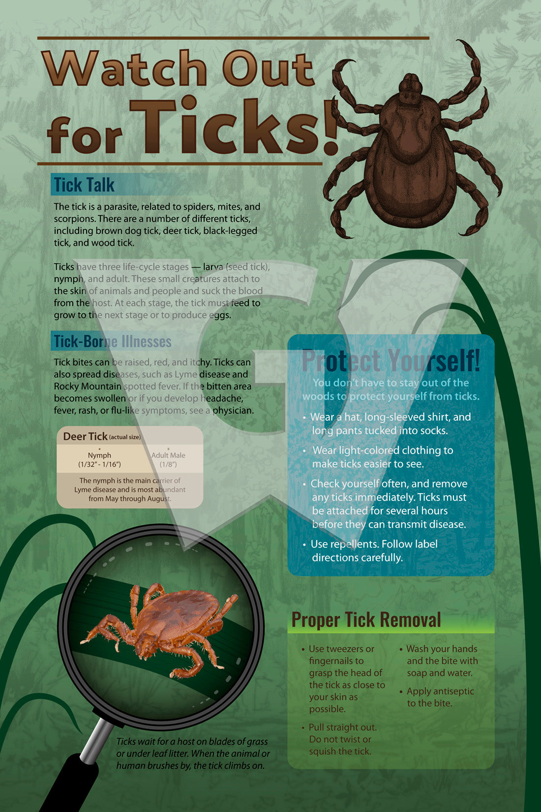 Watch Out for Ticks