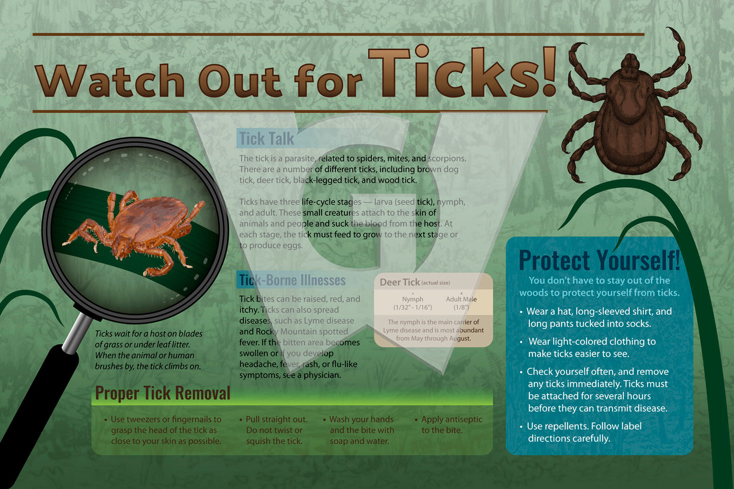 Watch Out for Ticks